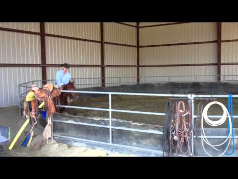 Fergie Ride #2 + Extras