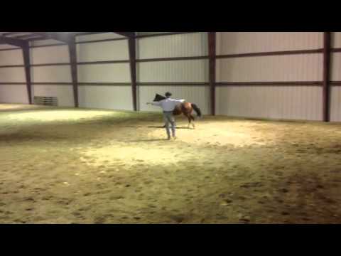 Tonka Free Lunge 1/13