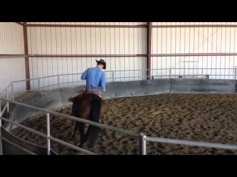 Lakota 3/26/13