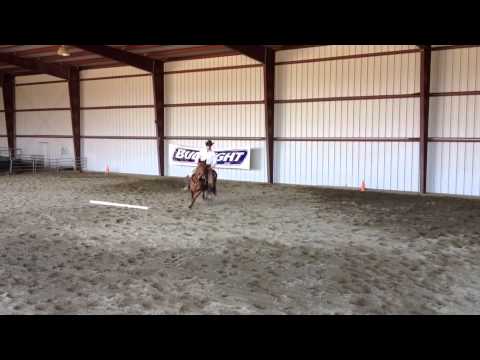 Flying Lead Change Fergie 4-22-13