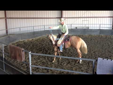 Stylie Ride #3