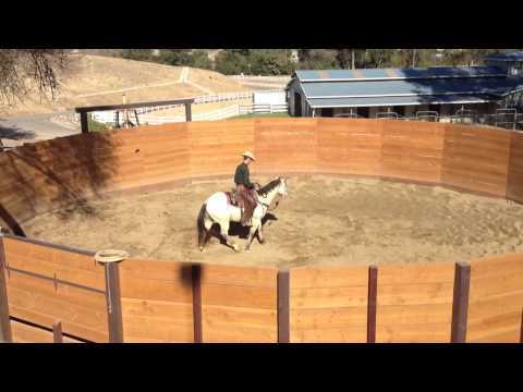 Whisky 2nd Ride 11-5-13
