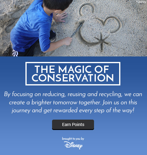 Disney - The Magic of Conservation - Launch Email