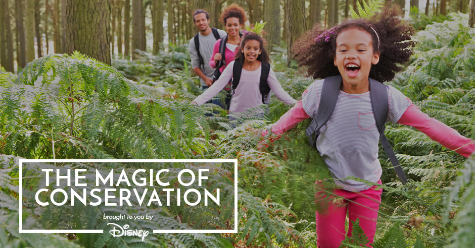 Disney - The Magic of Conservation - Facebook Ad 2