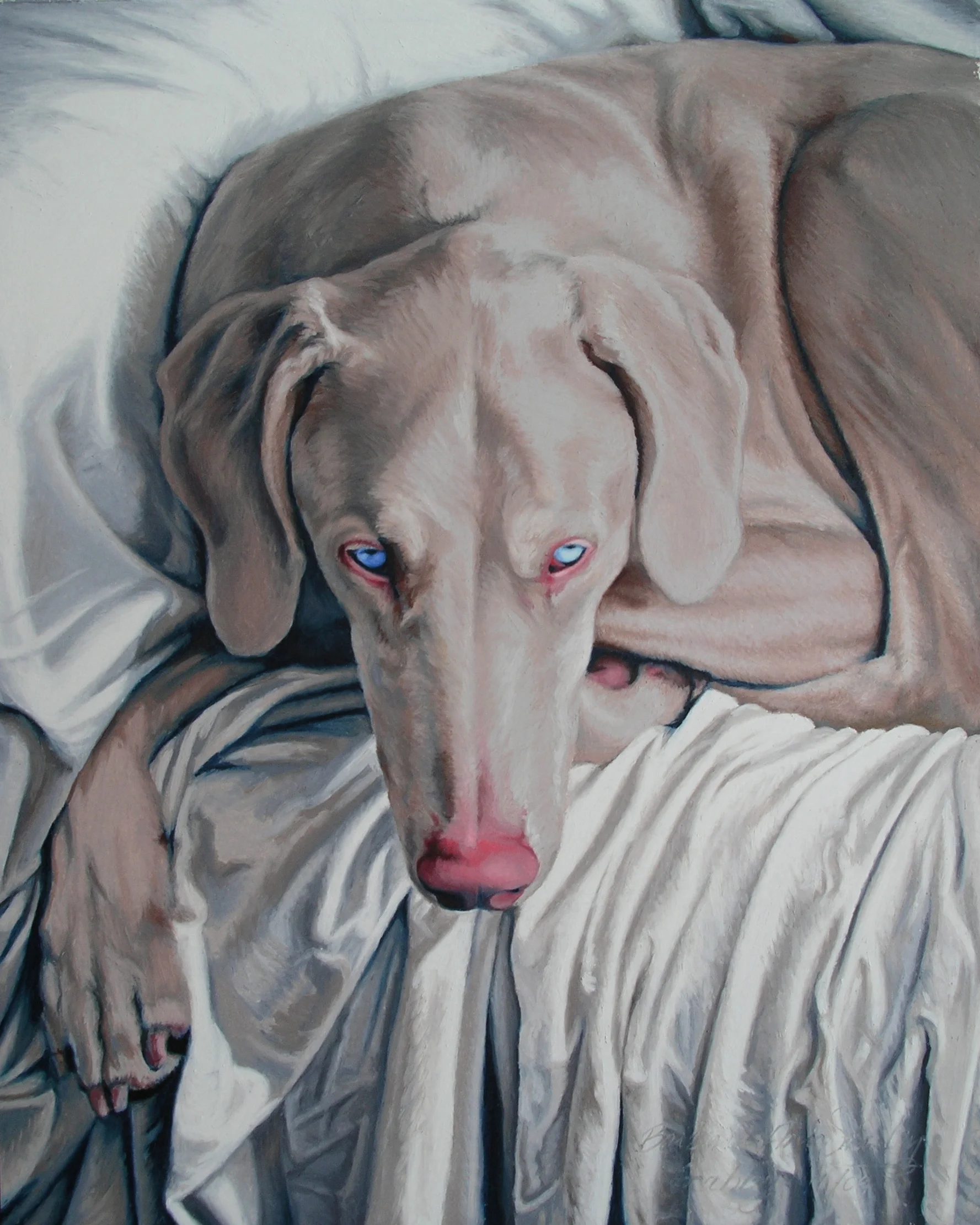 Gaby (the albino doberman)