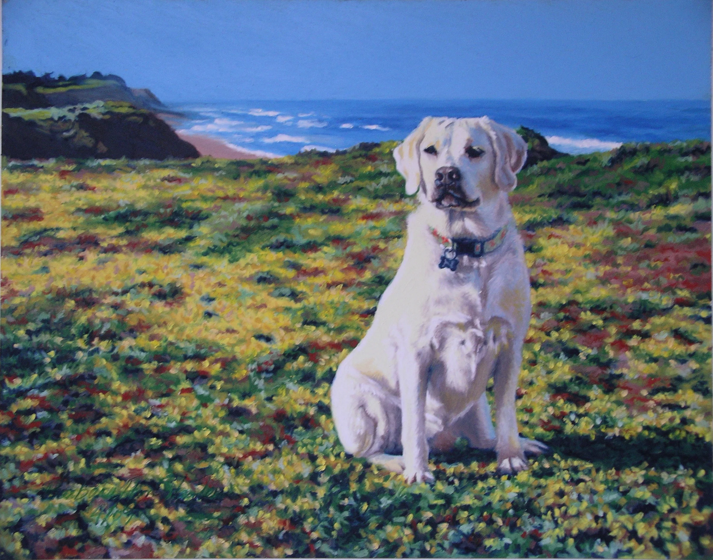 Napper @ Half Moon Bay