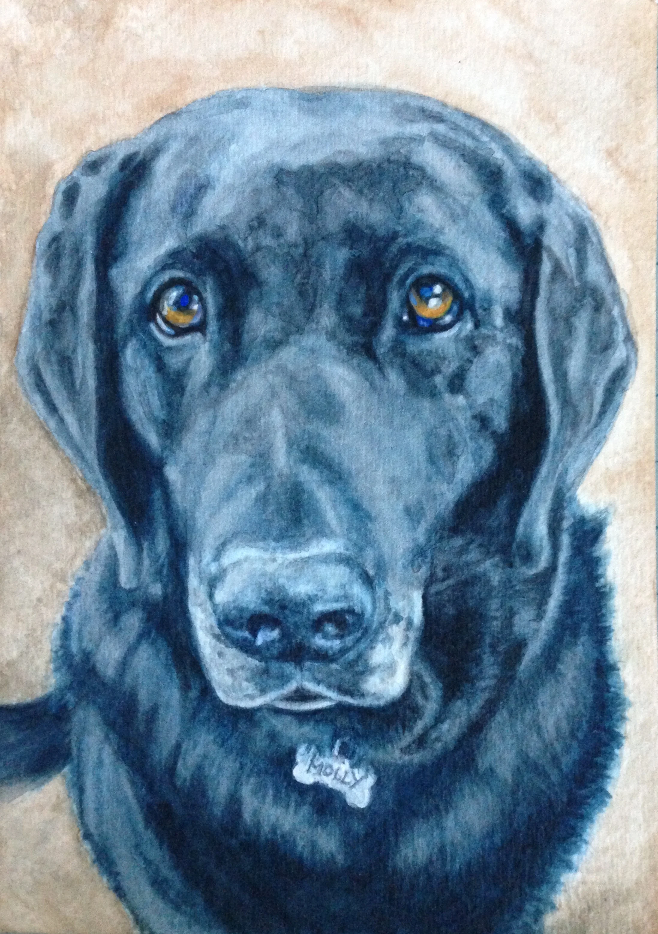 Molley