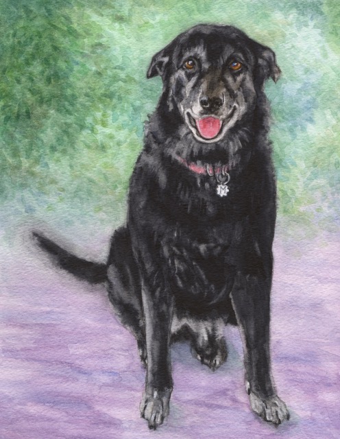 Mollie