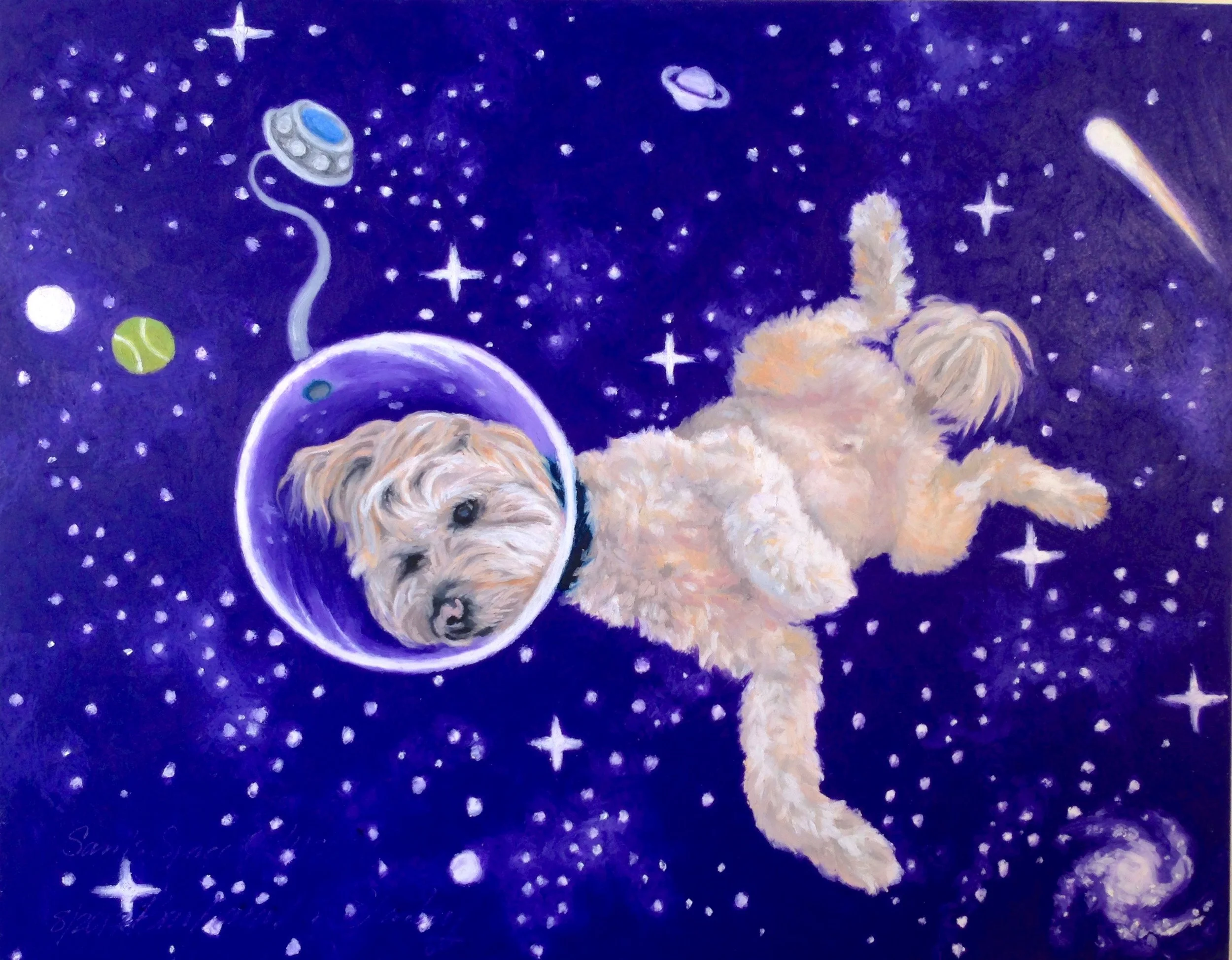 Sam's Space Odyssey