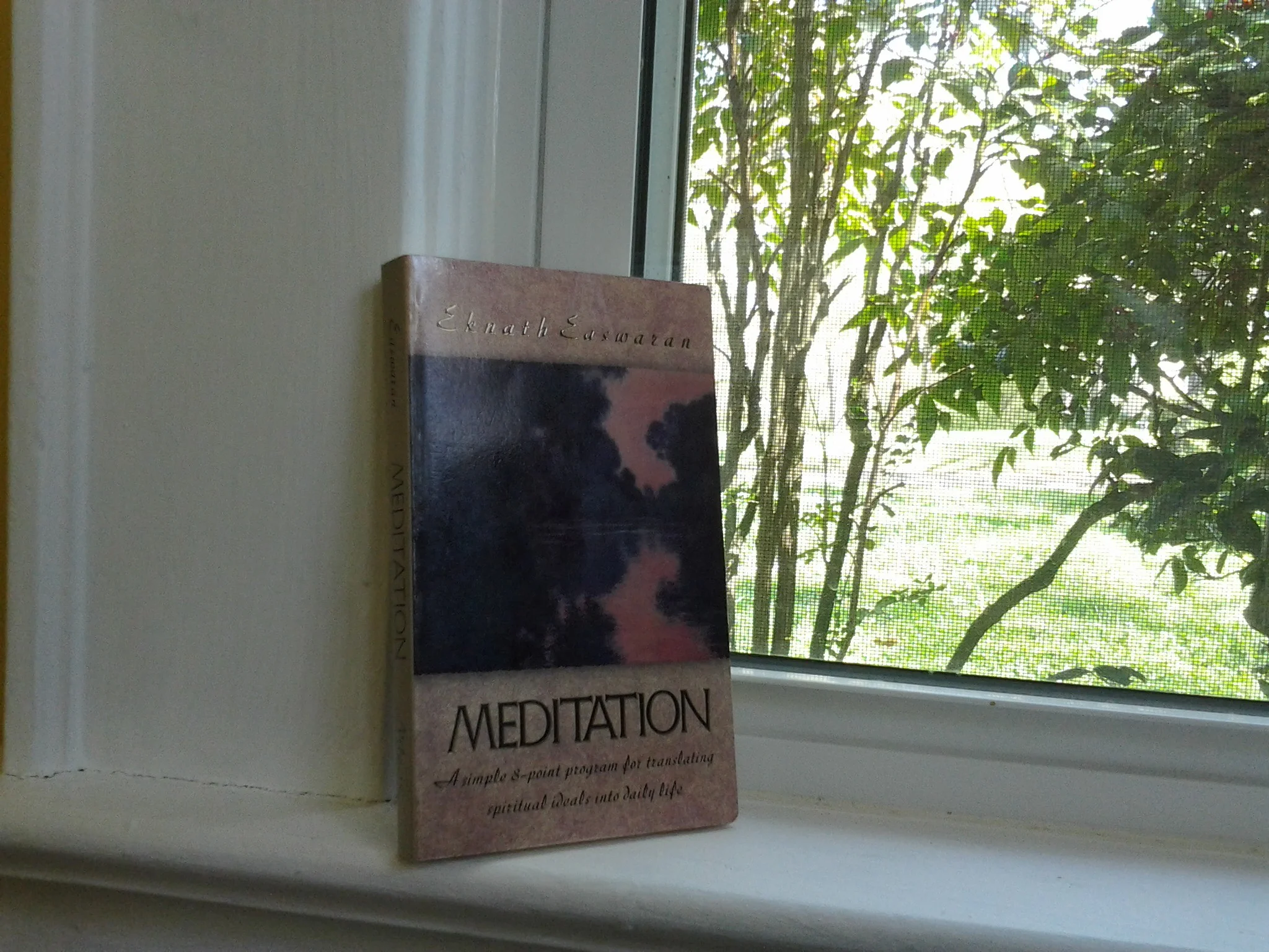 YA-Passage-Meditation-Book.jpg