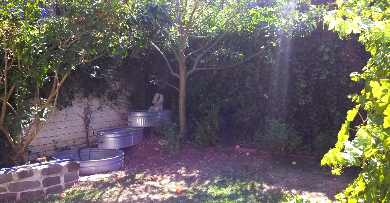YA-Backyard-Picnic.jpg