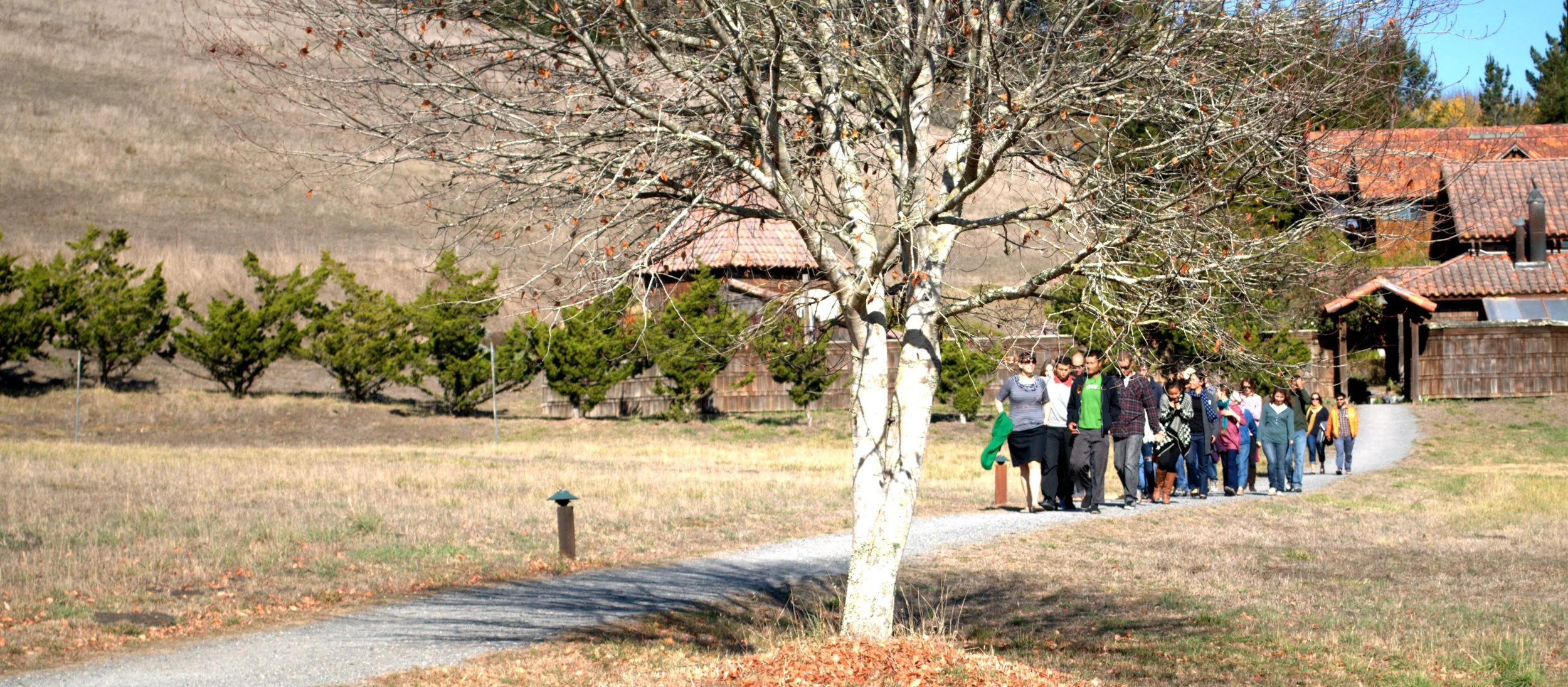 YA-Walk.jpg