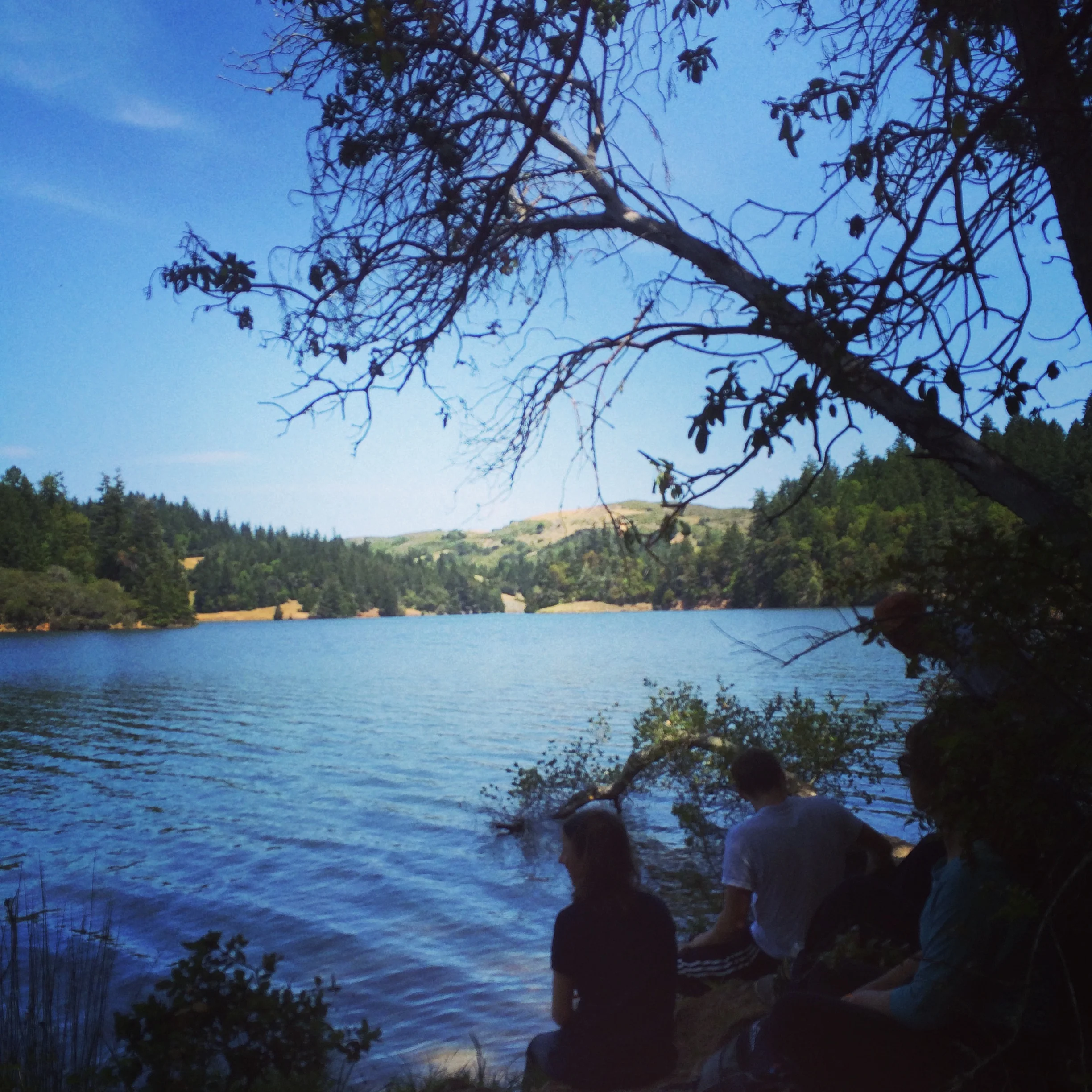 Photo from a recent YA hike in the San Francisco Bay Area