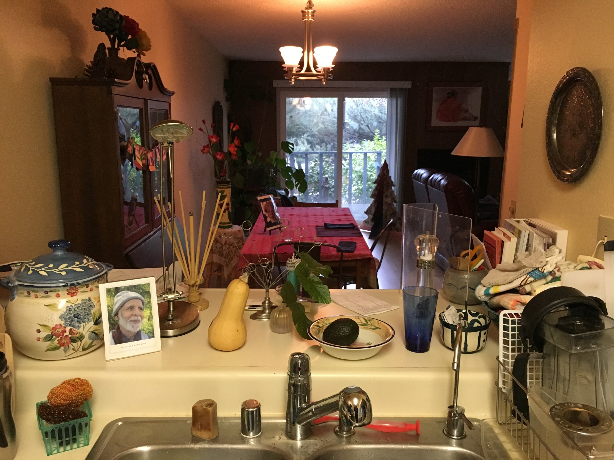 EE on Kitchen Counter.jpeg