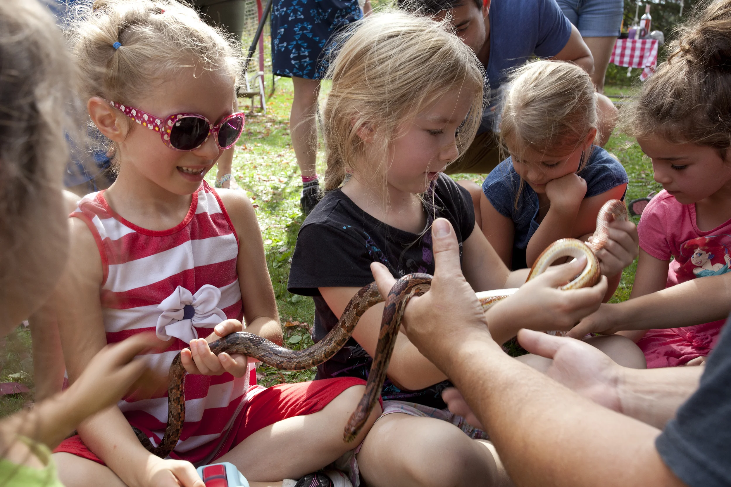 Fete_Anika_William_026.jpg