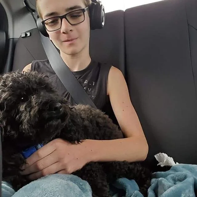 Voici quelques photos de nos pensionnaires chez leurs gardiens.
L&rsquo;adorable Jack, un caniche pour un 2e s&eacute;jour chez Jessica &agrave; Portneuf.
La timide Zara, un berger australien chez Karyne &agrave; Charlesbourg.

#couetteetcroquettes #