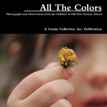 All The Colors represents the culmination of a photography and community awareness workshop developed for children aged 3-5 yrs by the Create Collective in collaboration with artist, Gabriel Wilson. The workshop was conducted at Old First Nursery School in the spring of 2011 in Brooklyn, New York.