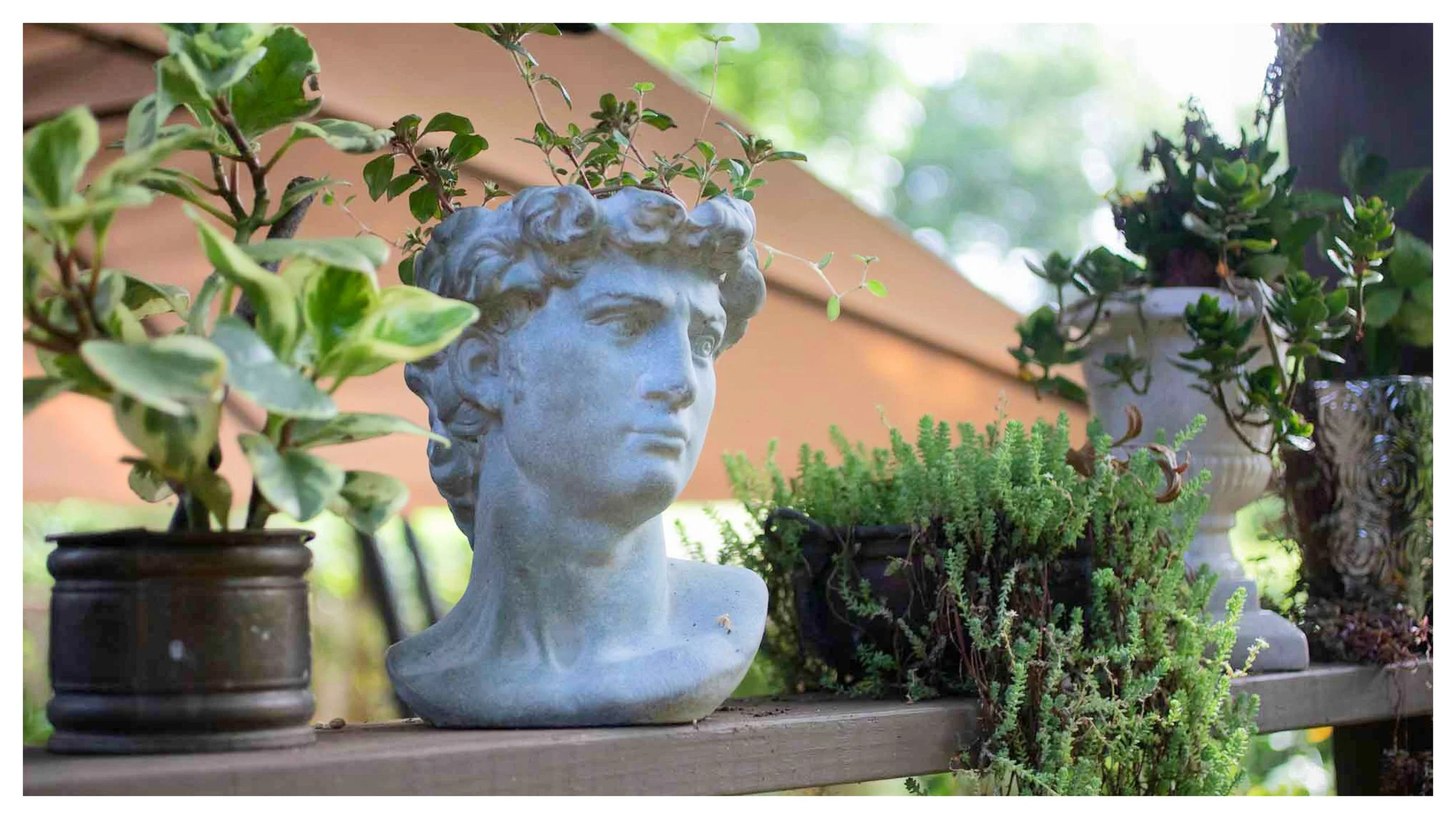 MAXIMALIST OASIS BANNER 3.jpg