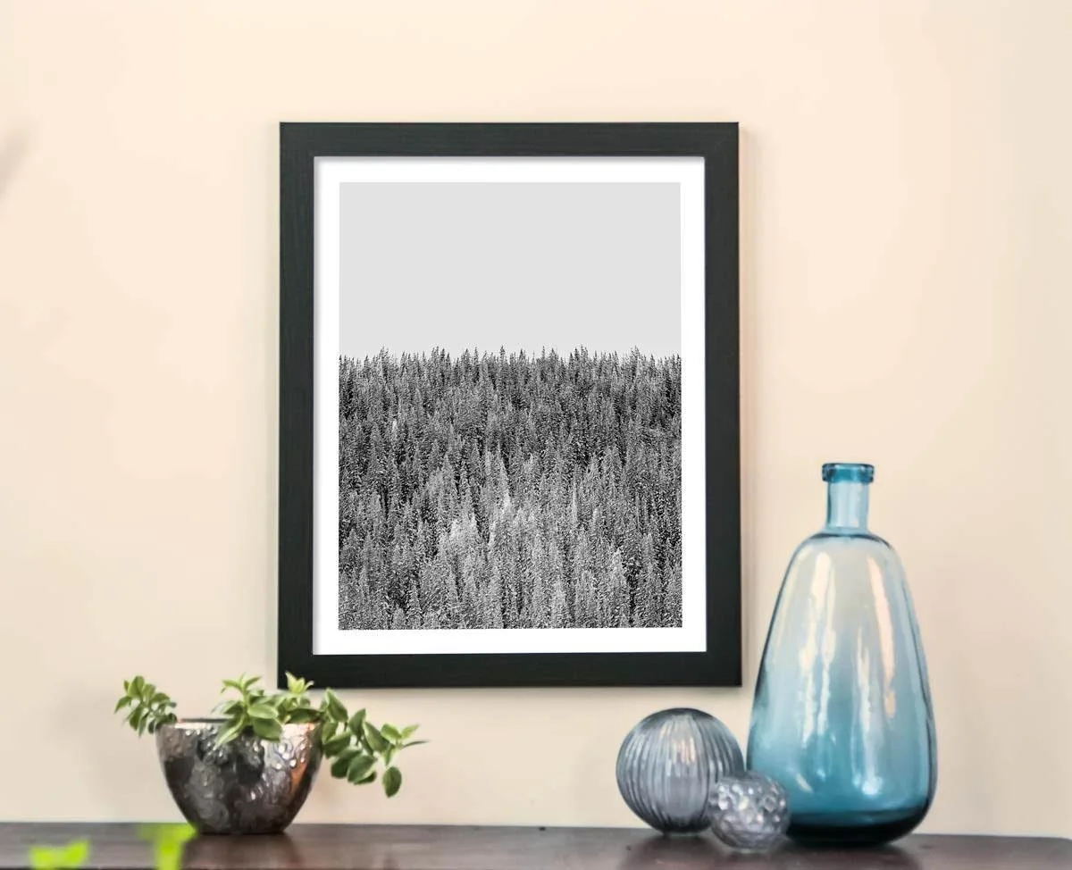 Fine Art Photography Framed and Signed 9.jpg