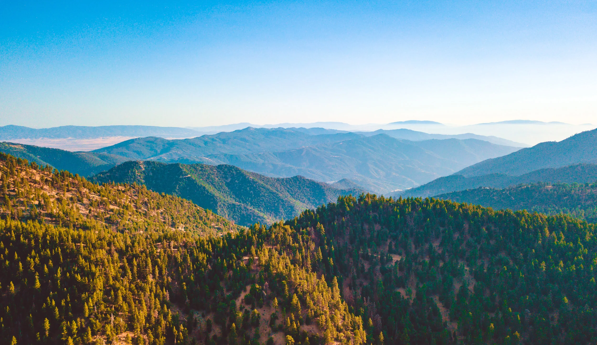 DJI_0027.jpg