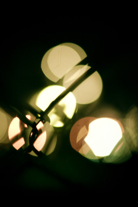 26613_10150157537400058_8144437_n.jpeg