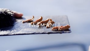 Tourism Tasmania 'Urchin'