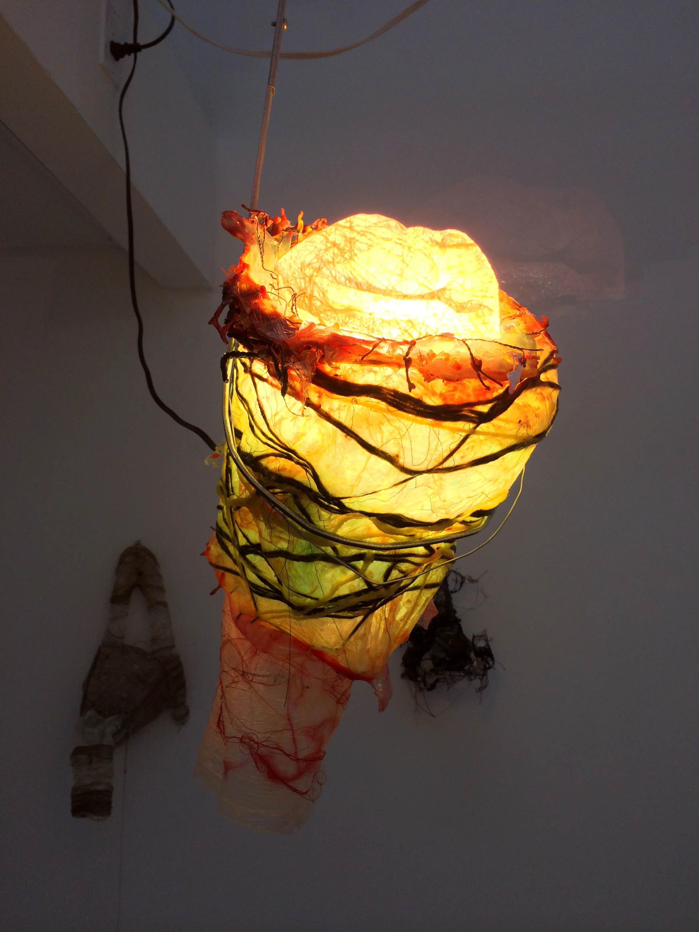 Marque Periplasm: Reified Pundicle