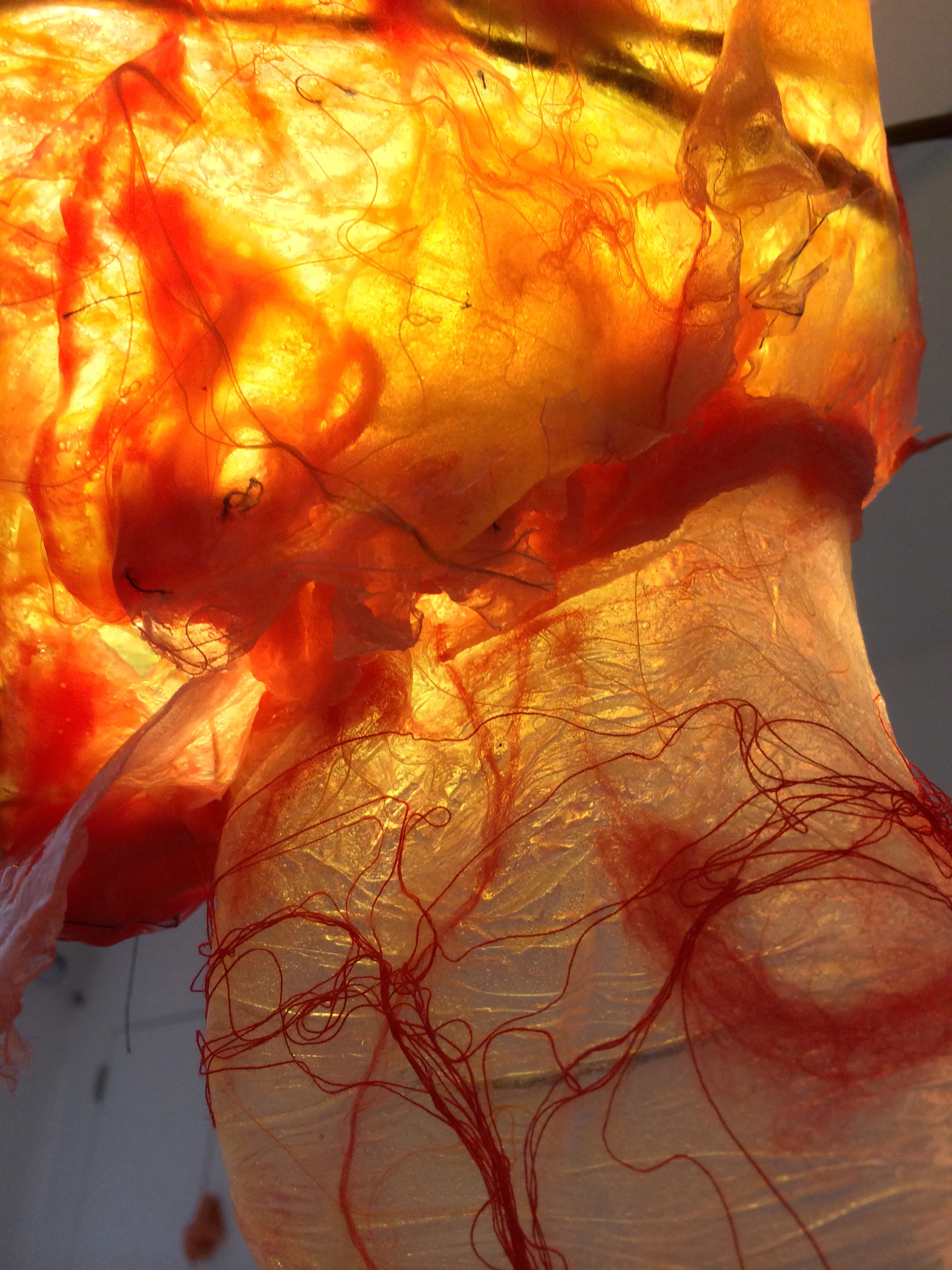 Marque Periplasm B (5).JPG