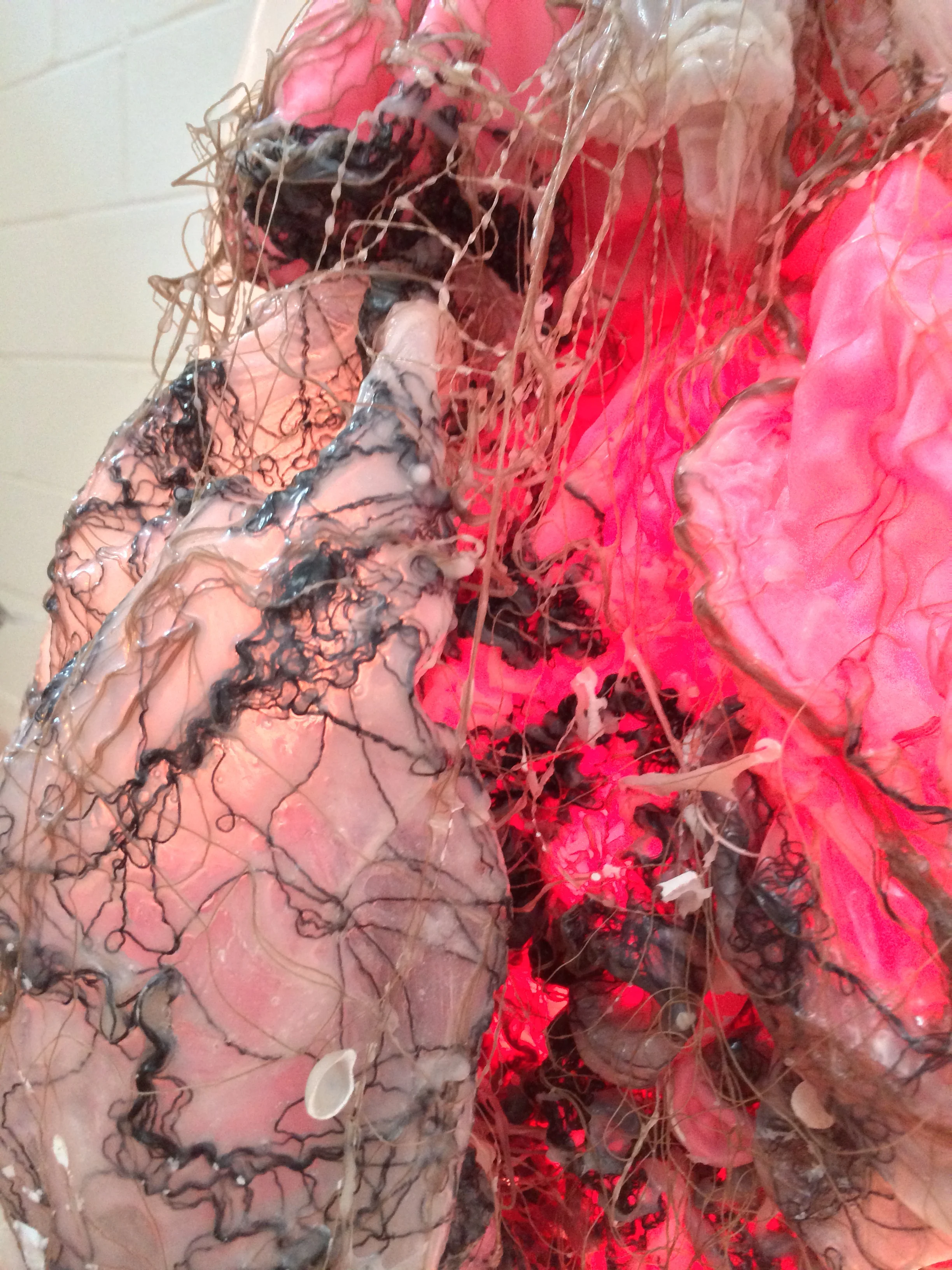 Marque Periplasm, aka Bataille's Bride (11).JPG