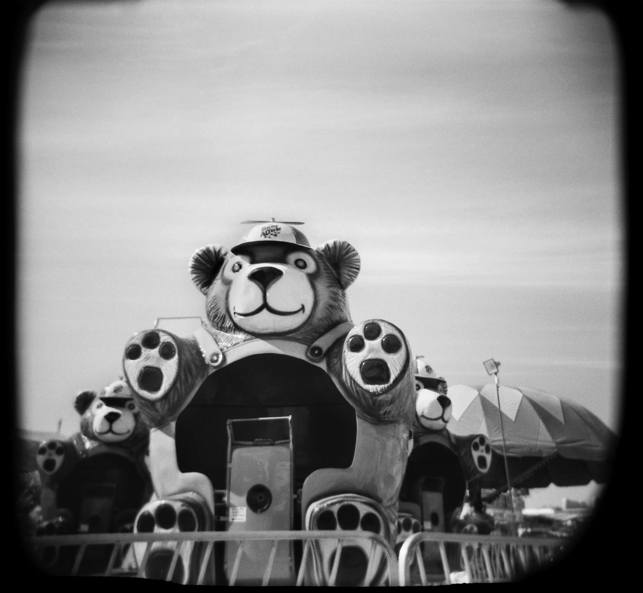 Bears Crop 3 copy.jpg