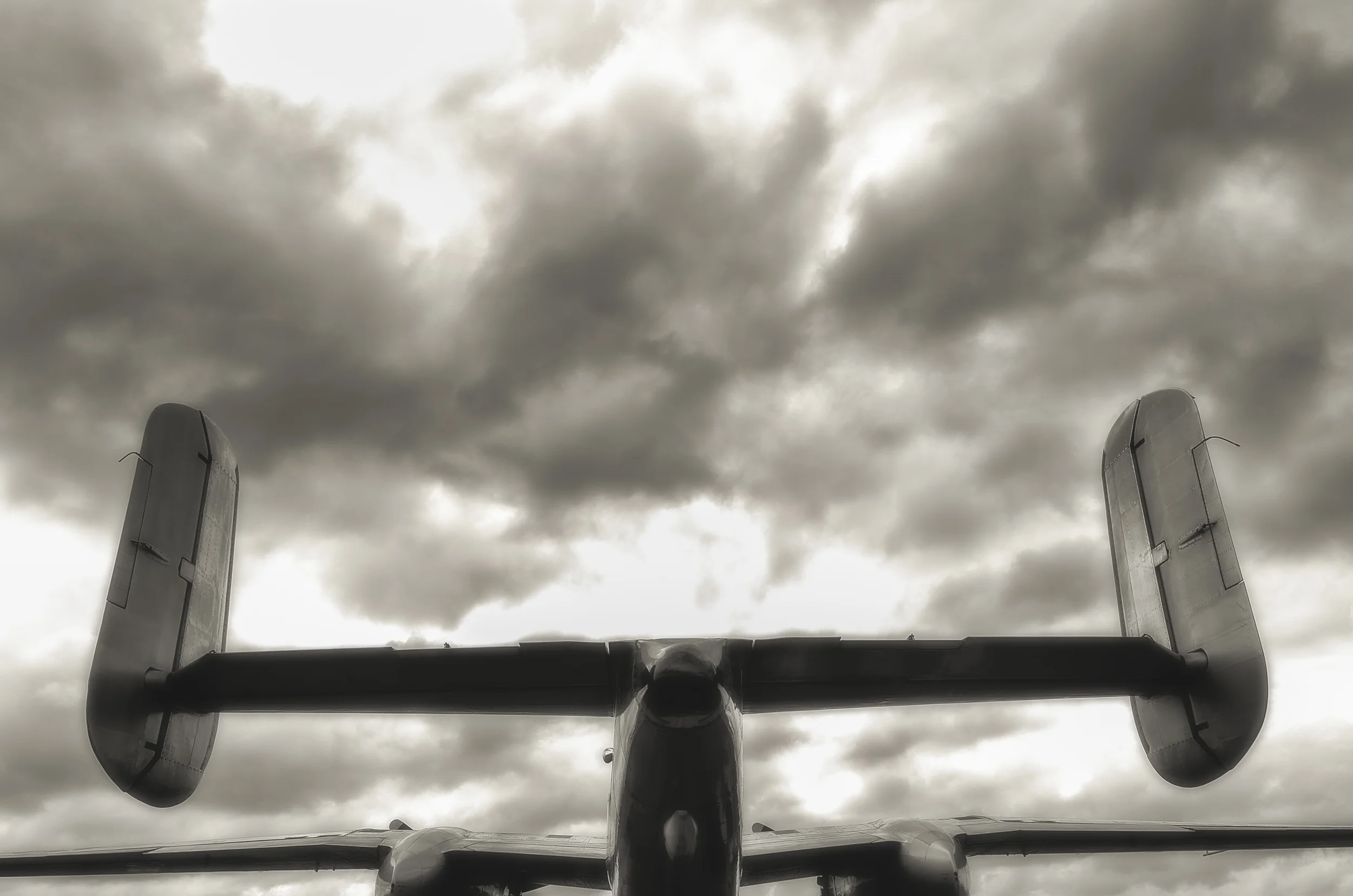 L1181571-Edit.jpg