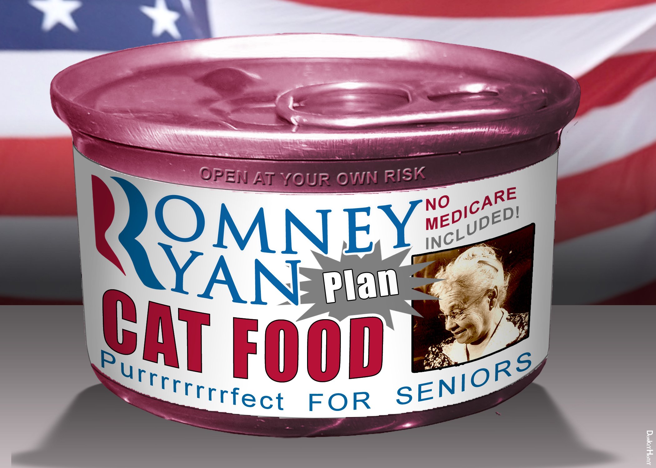 Romney_Ryan_Plan_Cat_Food_2100x1500.jpg