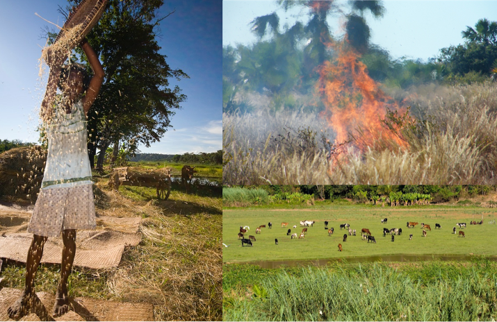 Blog — Planet Madagascar
