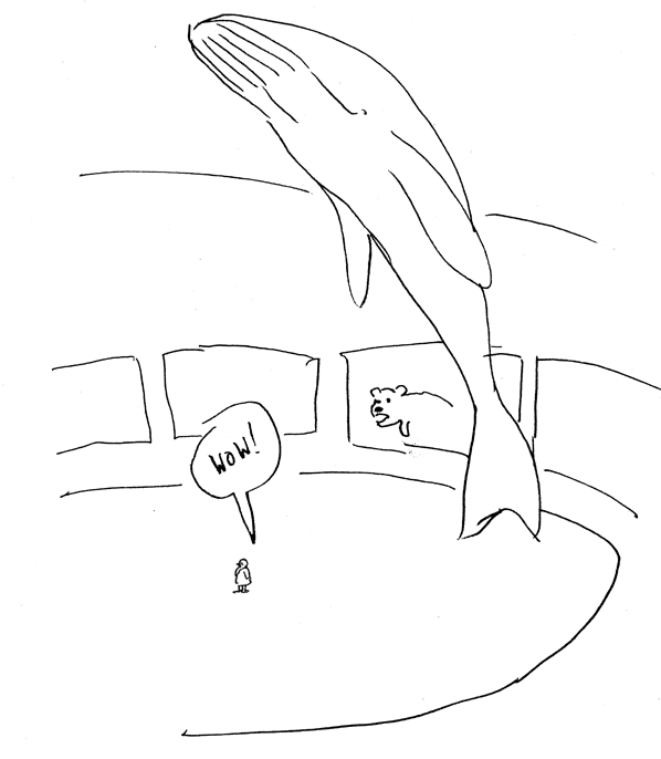 whale.gif