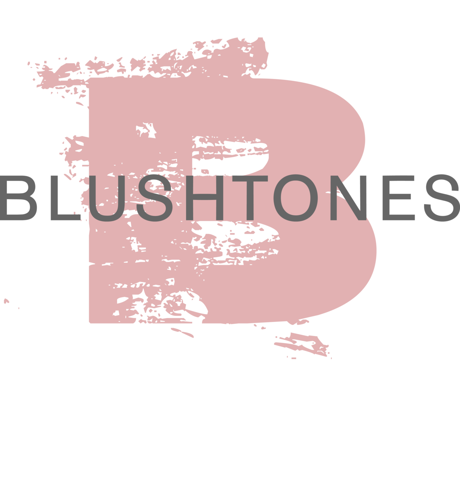 BlushTones - Virginia Makeup Artist