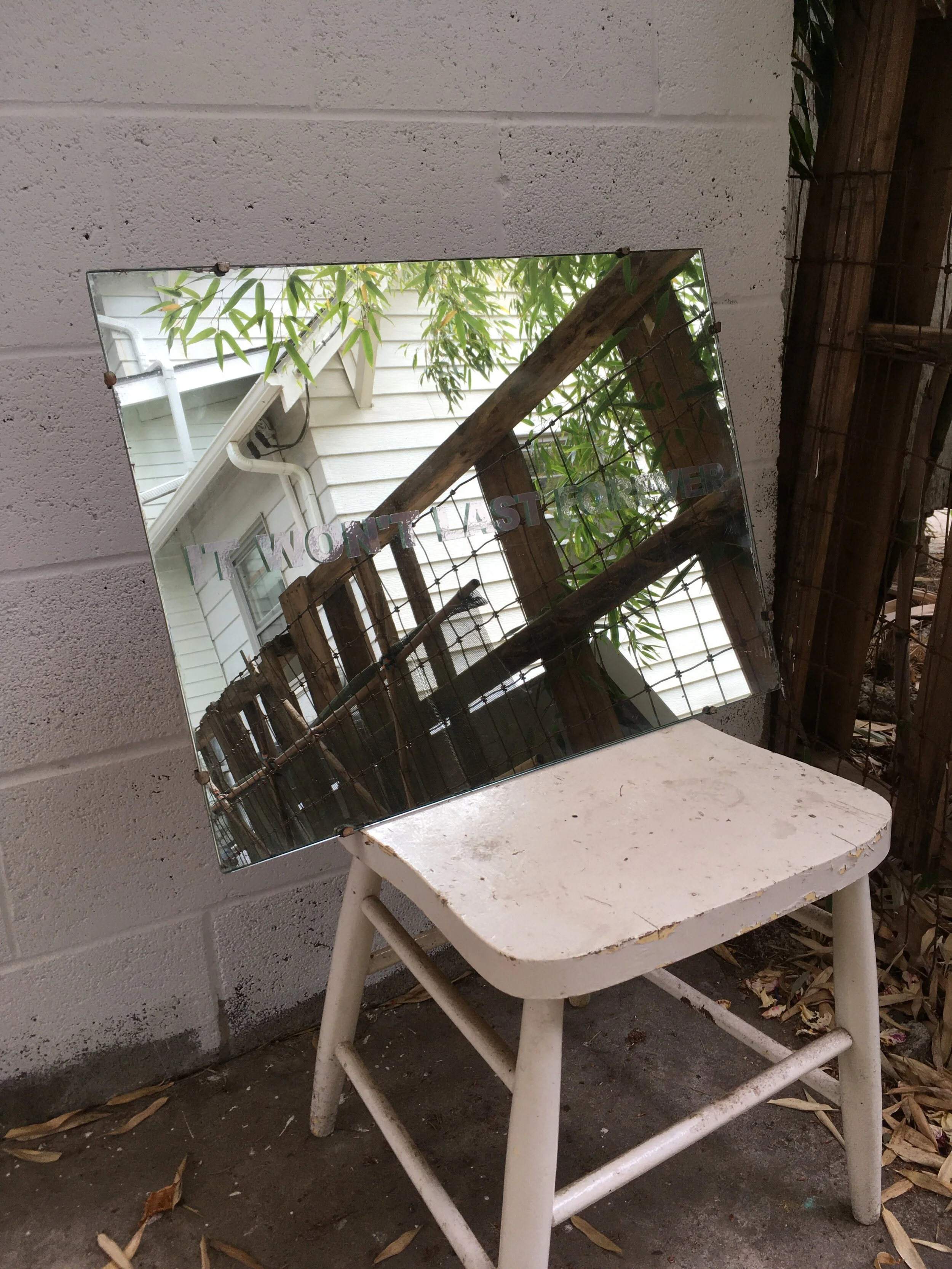 Untitled (it won't last forever)