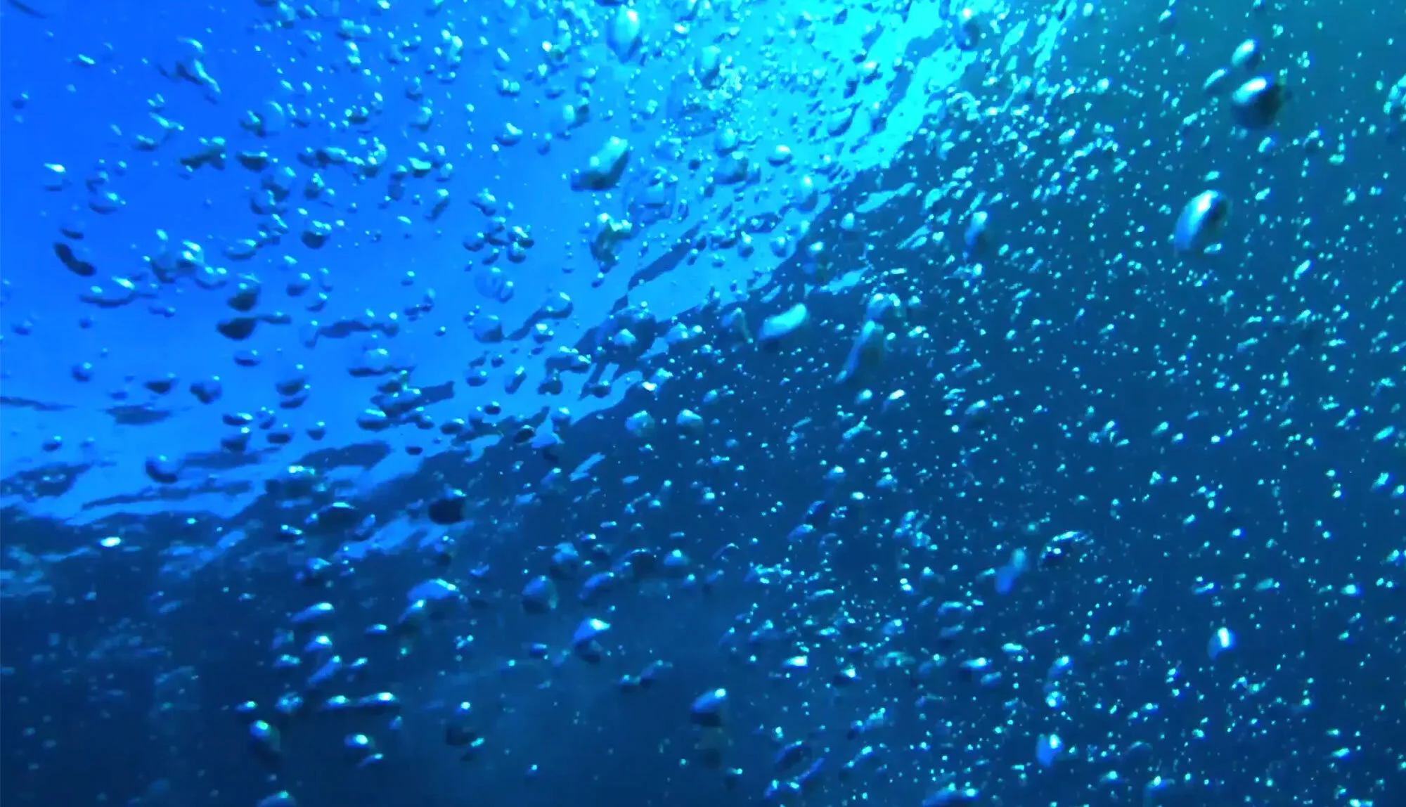world-life-productions-water-view-from-submarine.jpg