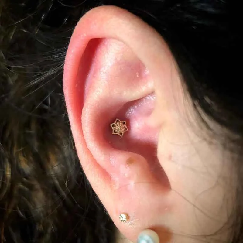 Conch