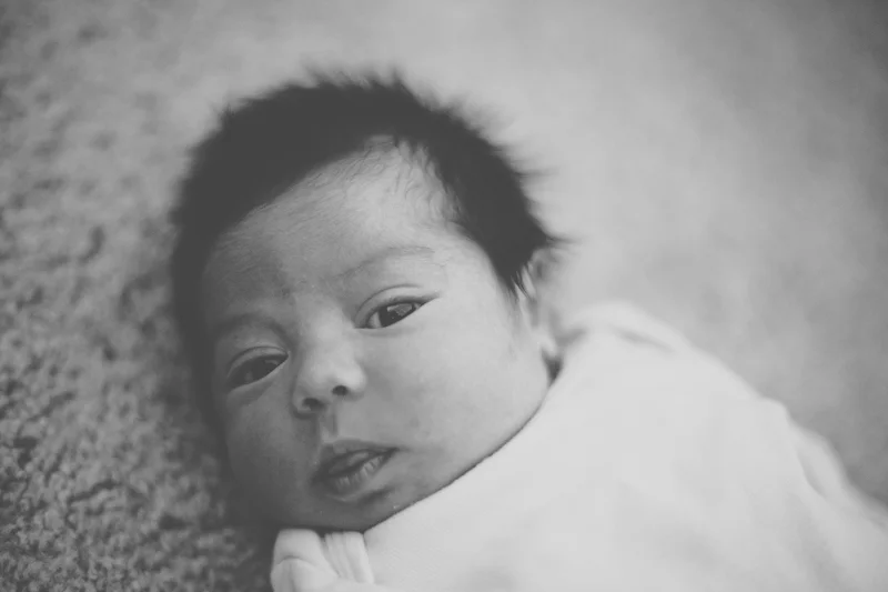 Gretchen_Gause_Photography_WEB-0004.jpg