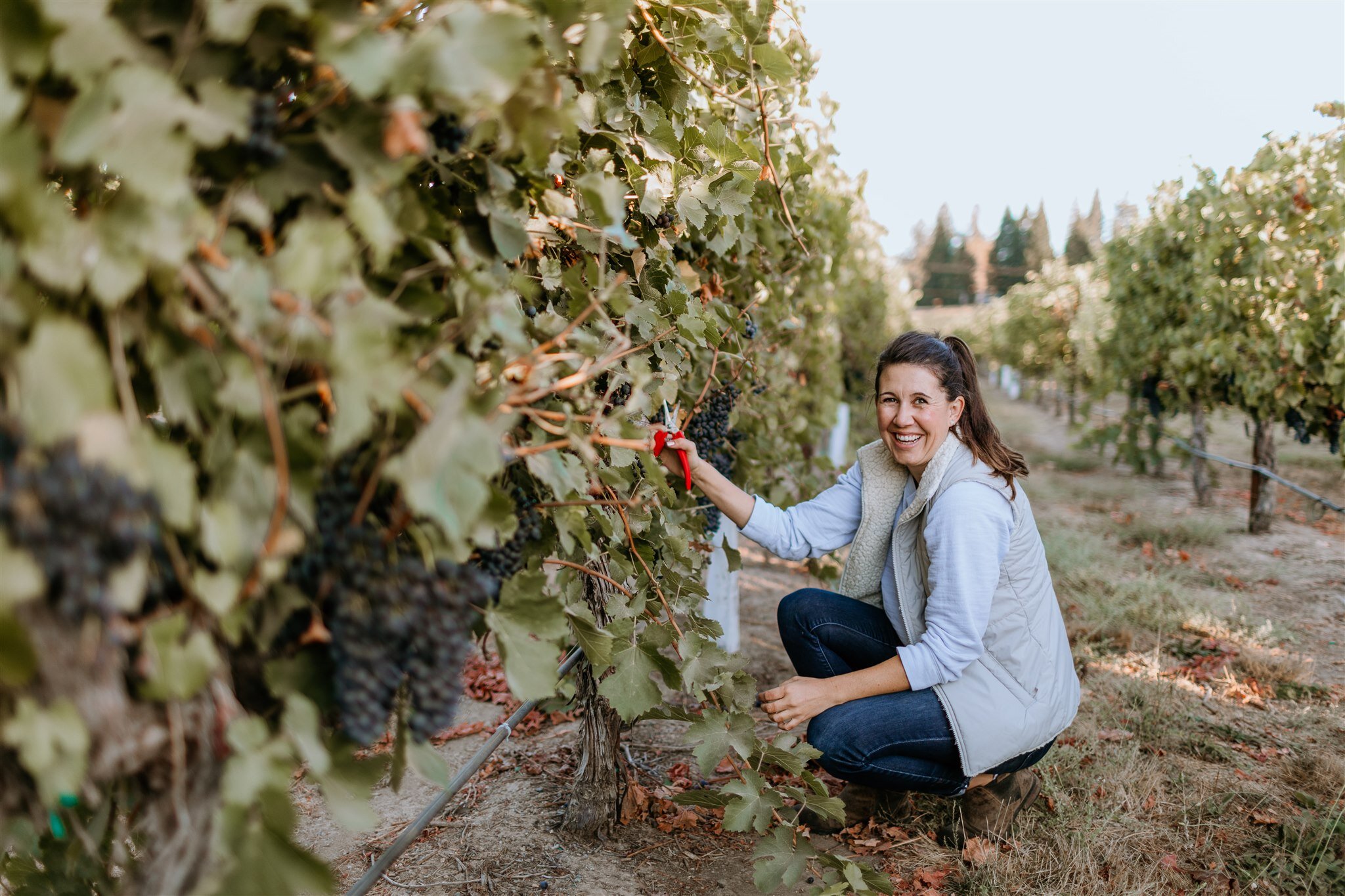 Ashley Hertzberg, Winemaker