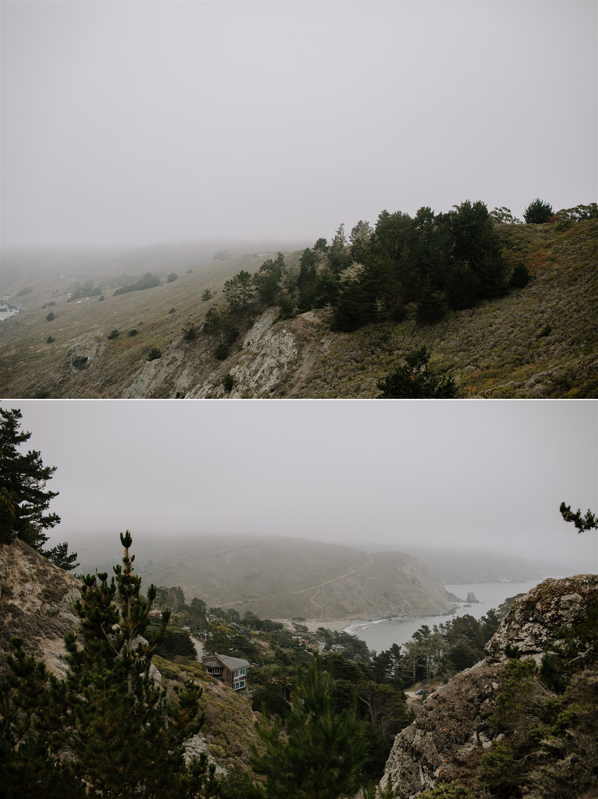 Gretchen_Gause_Photo_Mill_Valley_Muir_Beach_wedding_0013.jpg