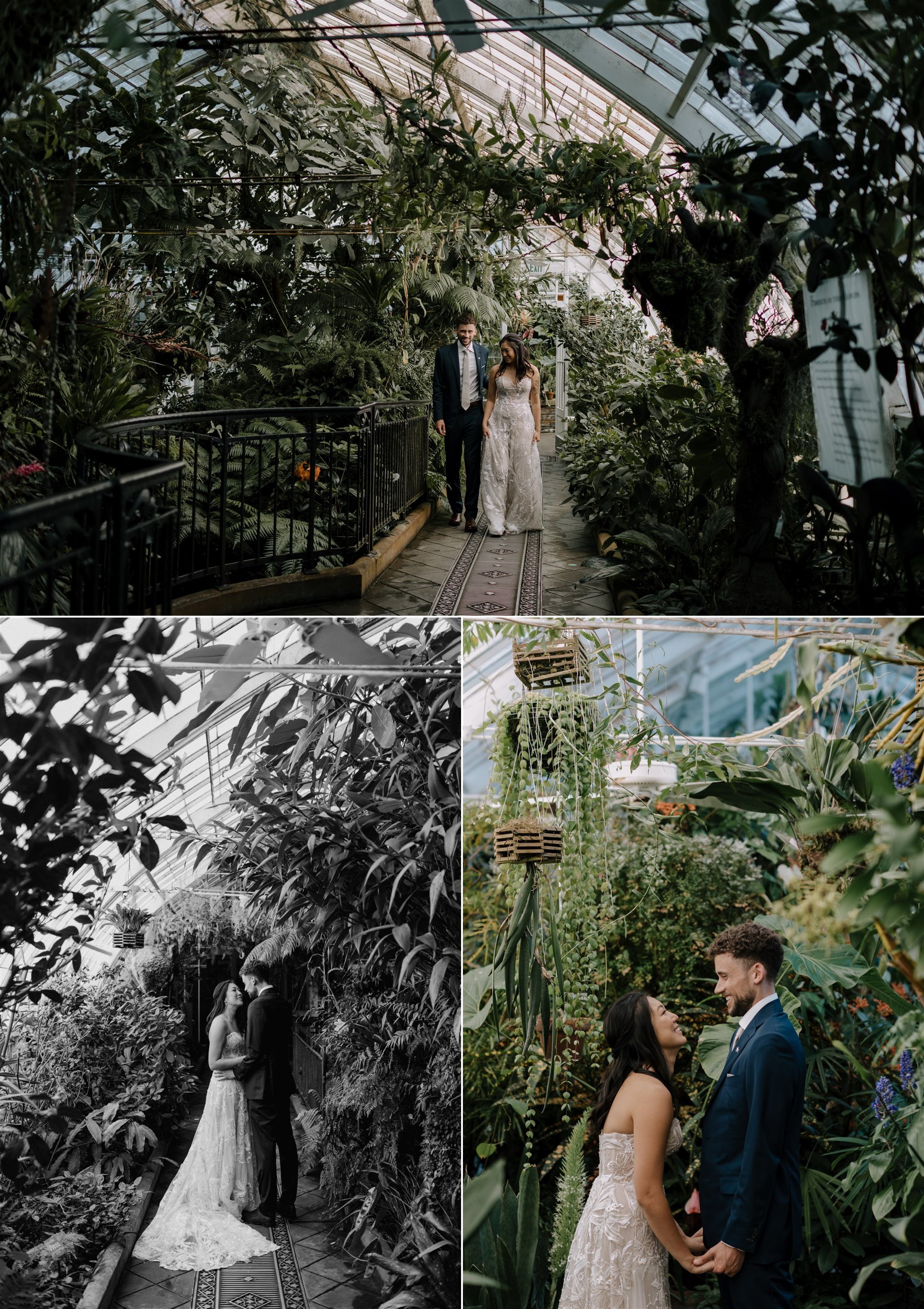 Gretchen_Gause_San_Francisco_Conservatory_of_Flowers_Wedding_Photo_0005.jpg