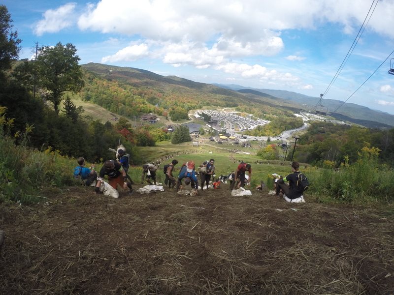 Climbing to the top of the mountain with our bags of sand. Photo taken by Todd Beattie from Downtown Bootcamp