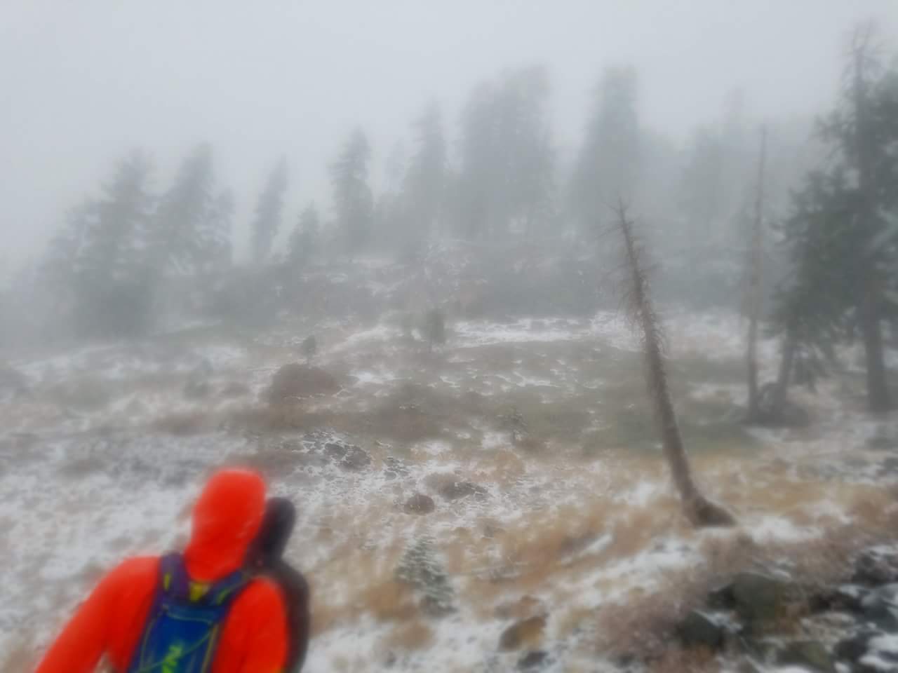 One of the more open areas of the course as the snow was just starting to accumulate on the ground. Photo credit Paul Lynch