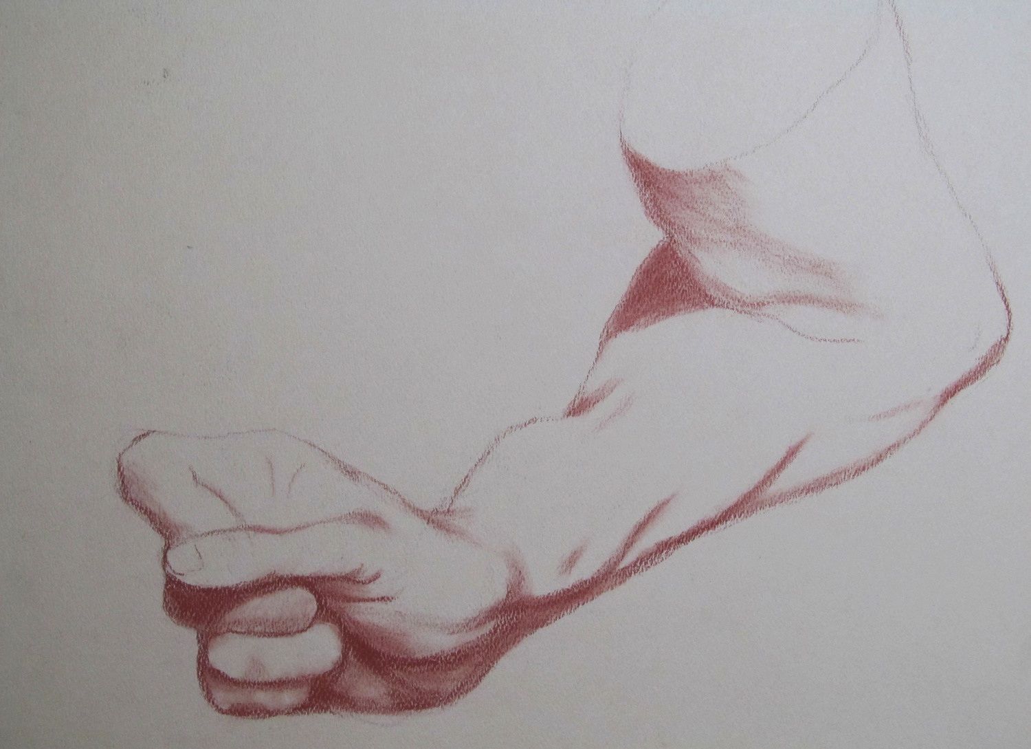 hand and forearm study