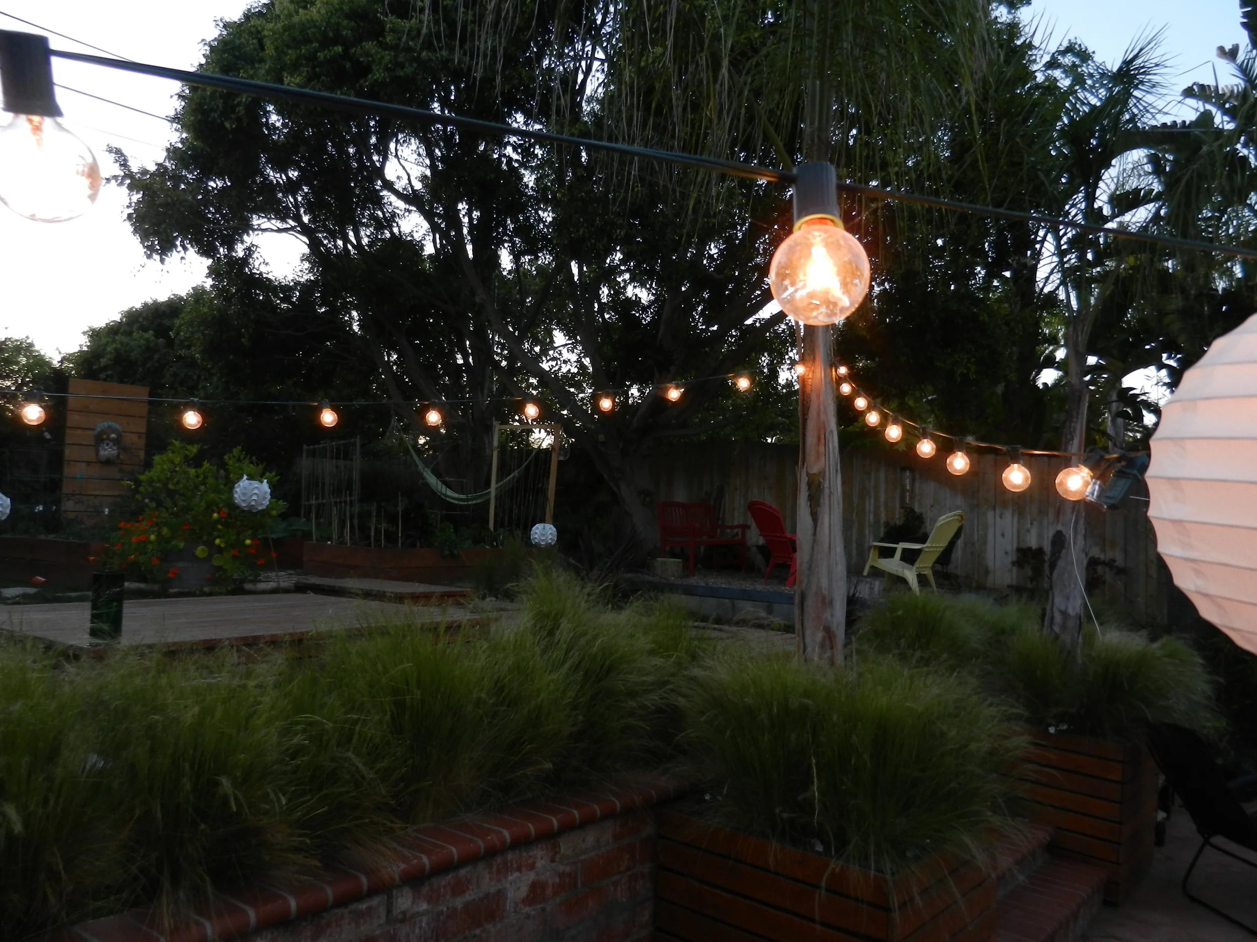 DSCN0459.JPG