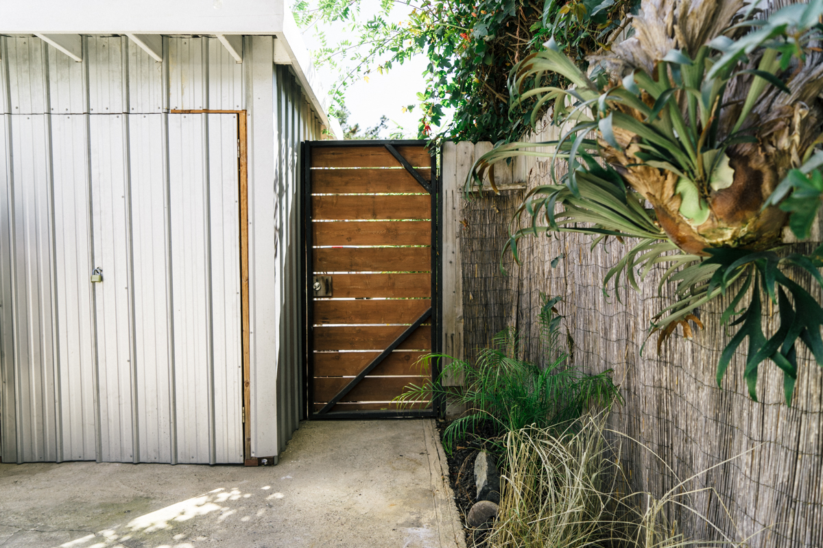 Outside, simple plantings will eventually grow to give a lush garden-like feel. 
