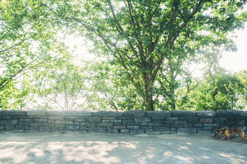 ANGEL-WING-ENGAGEMENT-BLOG-CYNTHIACHUNG-0021