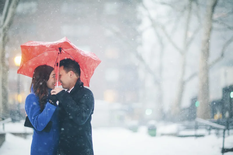 A New York City Winter Snowstorm Proposal