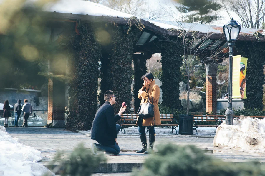 New York City Central Park Zoo Proposal